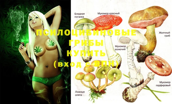 метамфетамин Белокуриха