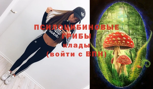 спиды Беломорск